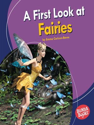 cover image of A First Look at Fairies